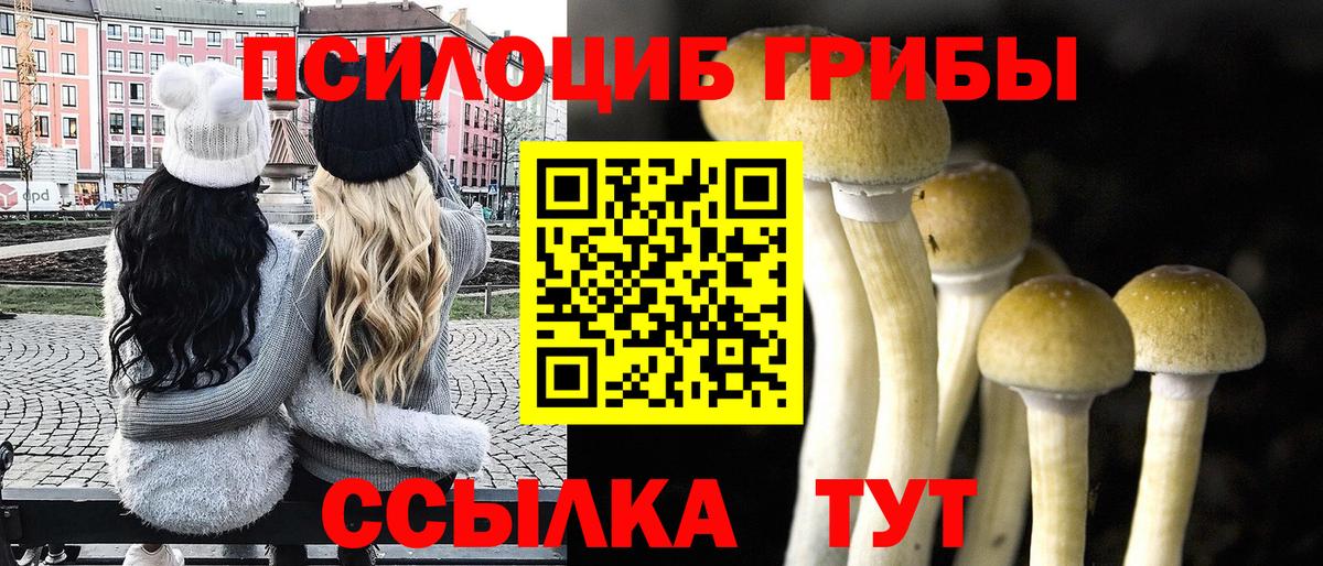 Галлюциногенные грибы мухоморы Советск